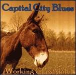 Baton Rouge Blues Foundation CD.jpg